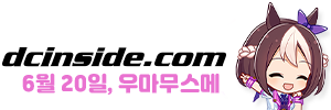 디시인사이드